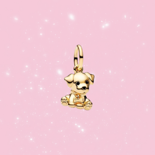Charm aleatorio